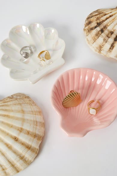 Glass display shell perfection - White h5 Picture2
